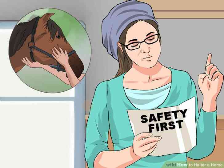 Image intitulée Licol Cheval Étape 12
